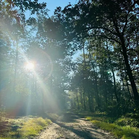 בקתה Nature Escape Veluwe *