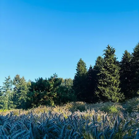 בקתה Nature Escape Veluwe *