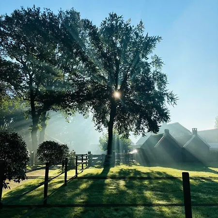 Chalet Nature Escape Veluwe Putten