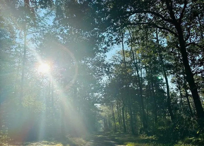 Dağ evi Nature Escape Veluwe *