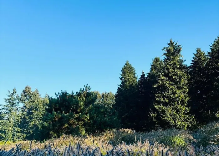 Dağ evi Nature Escape Veluwe *