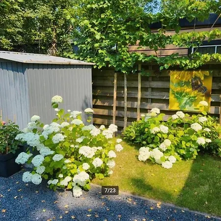 Nature Escape Veluwe